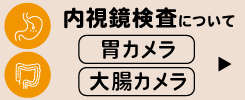 内視鏡について