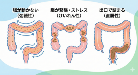 Gemini_Generated_Image_stev9lstev9lstev (1)